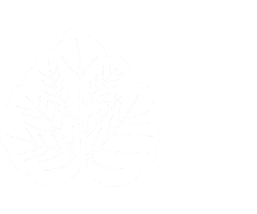 Отель-заповедник Лесное